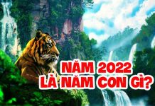 nam-2022-la-nam-con-gi-